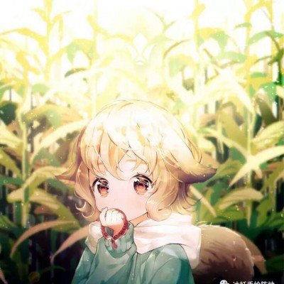 金鹰奖提名预测名单